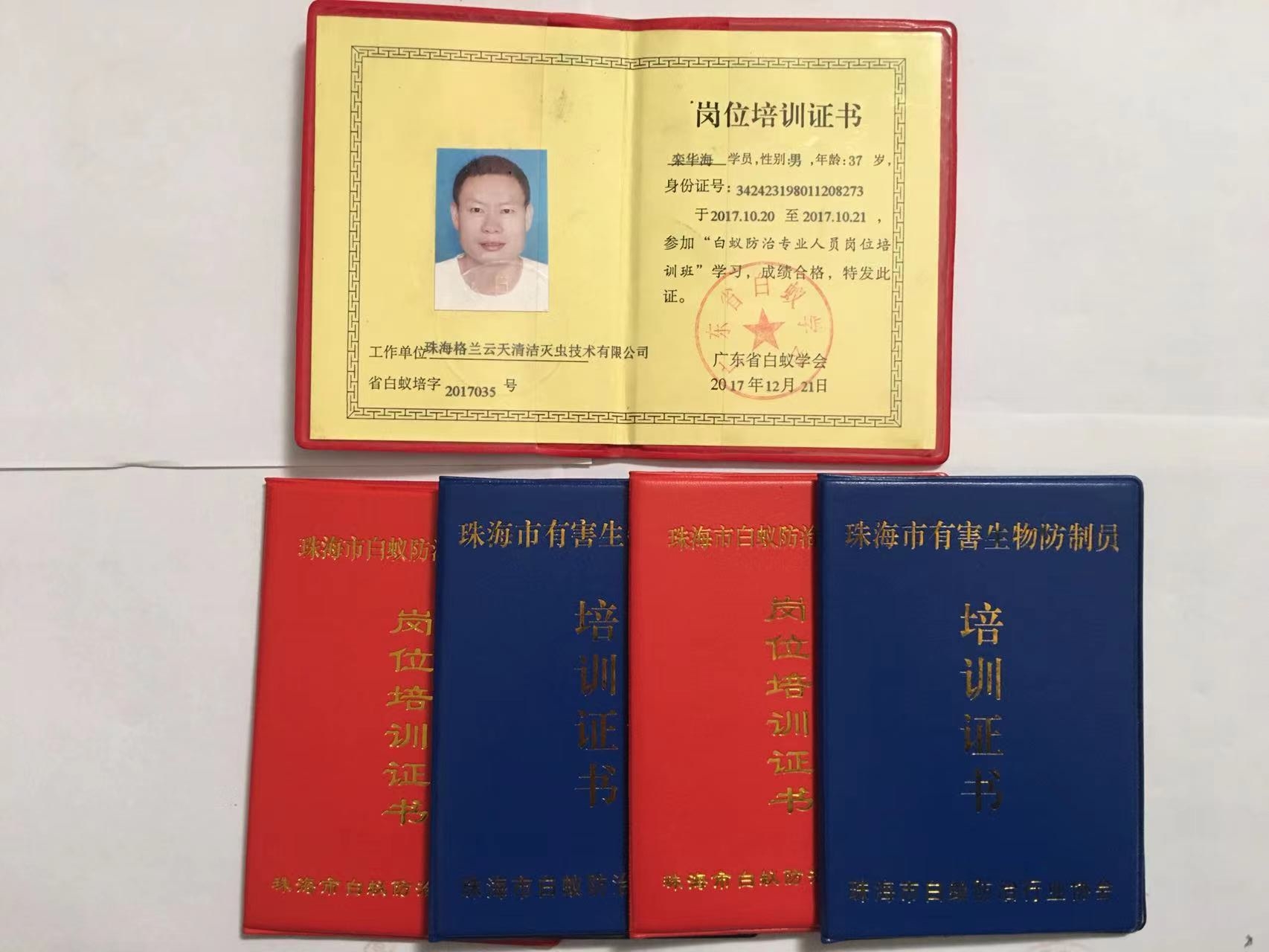 珠海白蟻防治中心 珠海白蟻防治所 珠海白