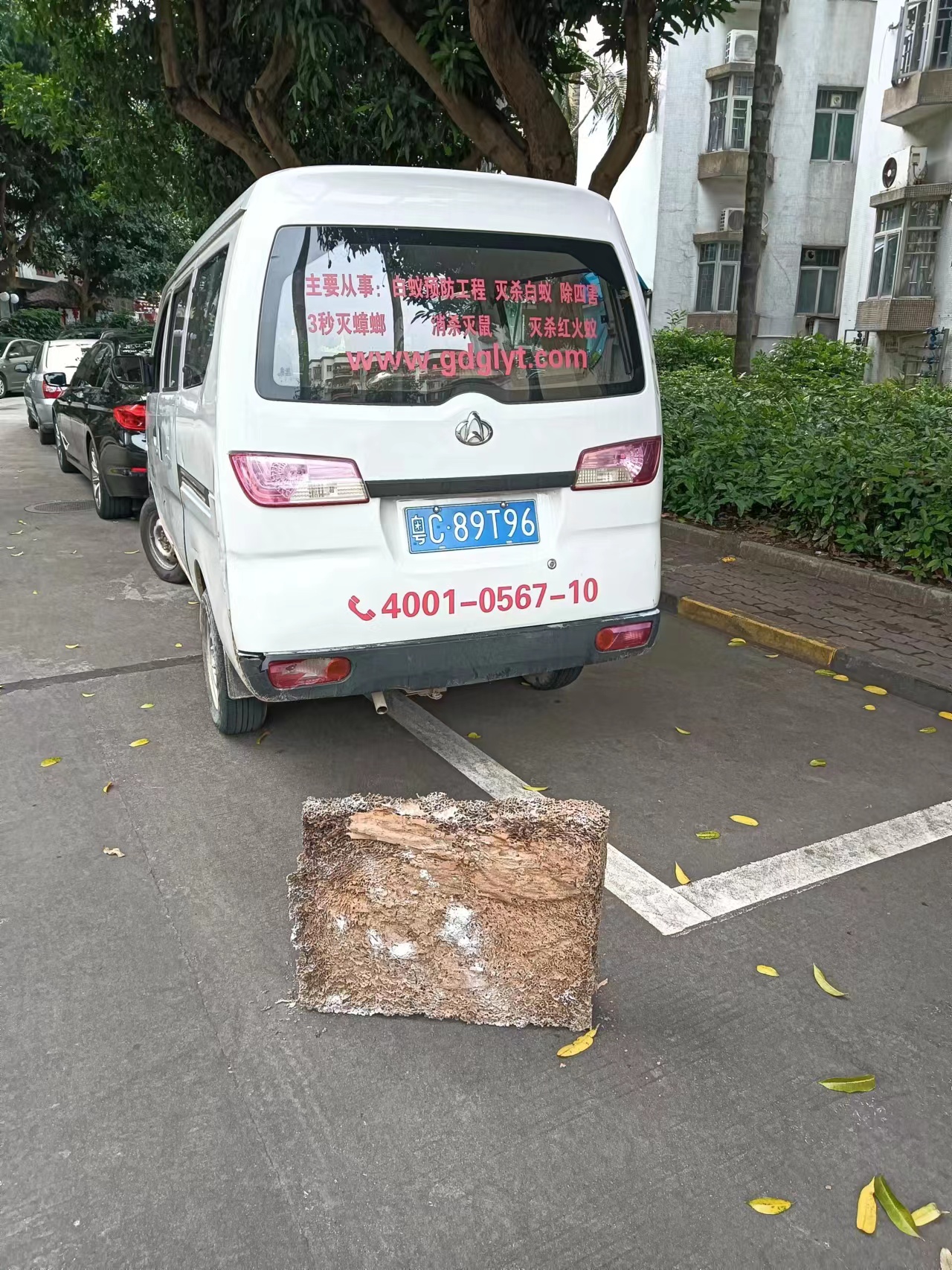 珠海白蟻防治 珠海白蟻防治中心 珠海白蟻
