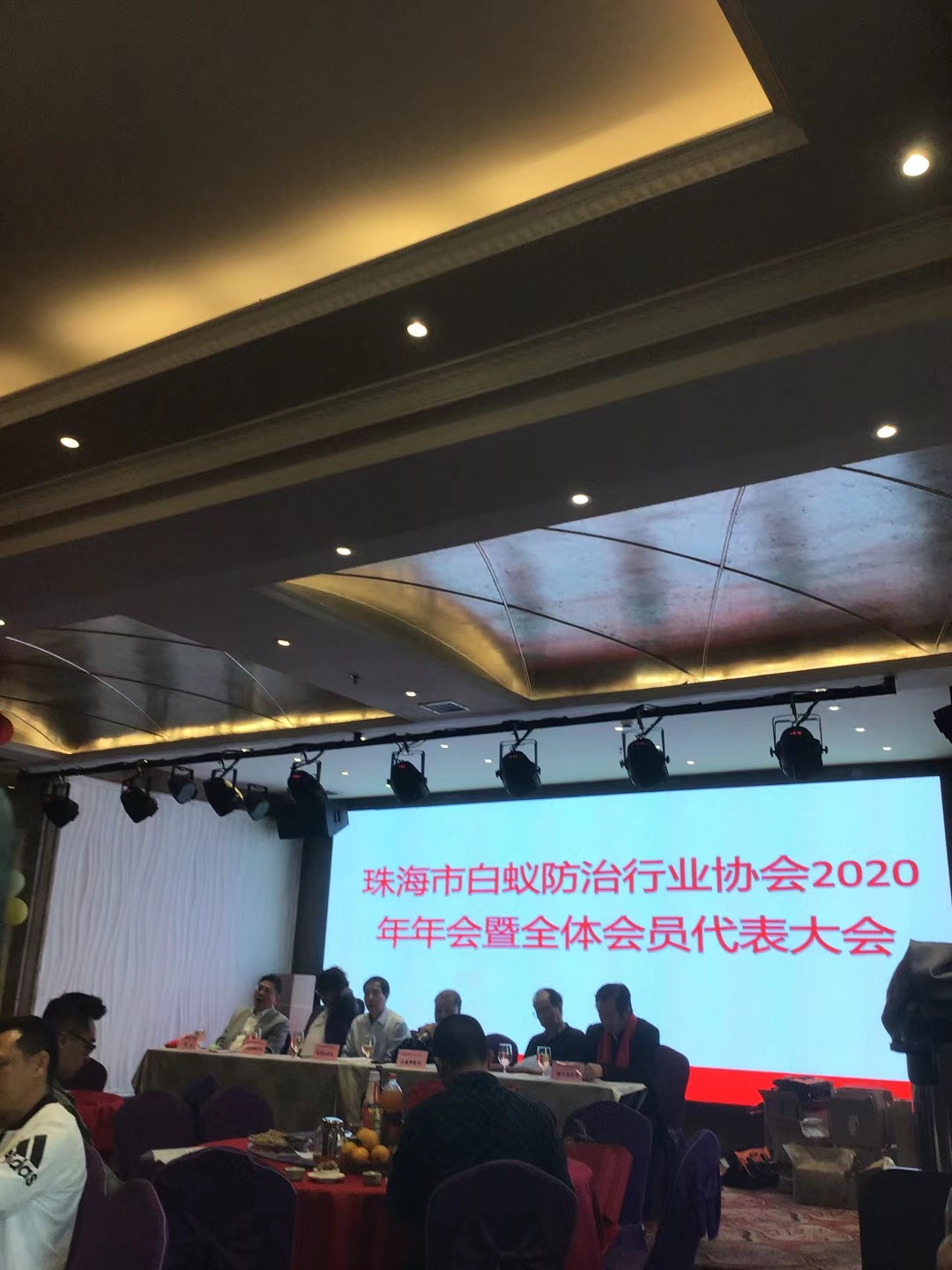 珠海白蟻的防治 滅蟑螂害