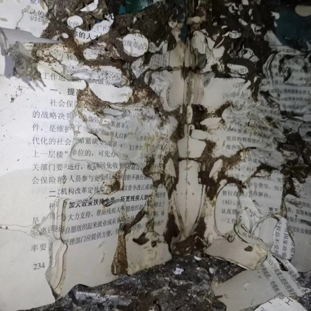金灣三灶白蟻防治